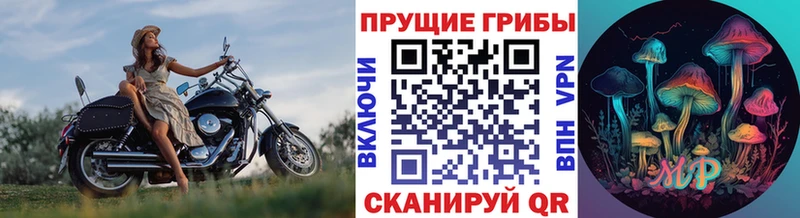 blacksprut сайт  что такое наркотик  Зерноград  Псилоцибиновые грибы GOLDEN TEACHER 